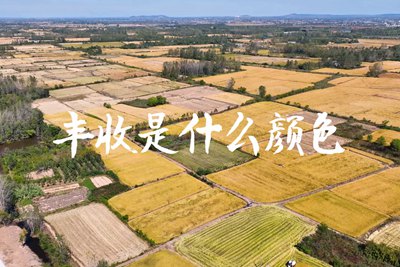 春種一粒粟，秋收萬顆子。多彩的豐收季，只愿五谷豐登，百事興旺3.240_400.jpg